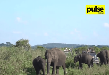 The Nature Interpretation Program: Promoting Responsible Tourism
