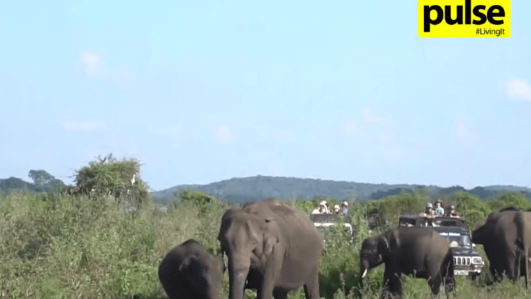 The Nature Interpretation Program: Promoting Responsible Tourism