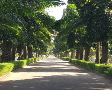 Project ‘Greening Colombo’