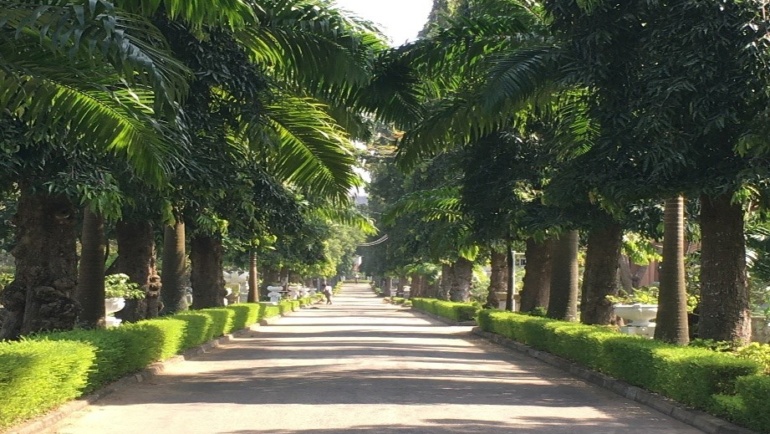 Project ‘Greening Colombo’